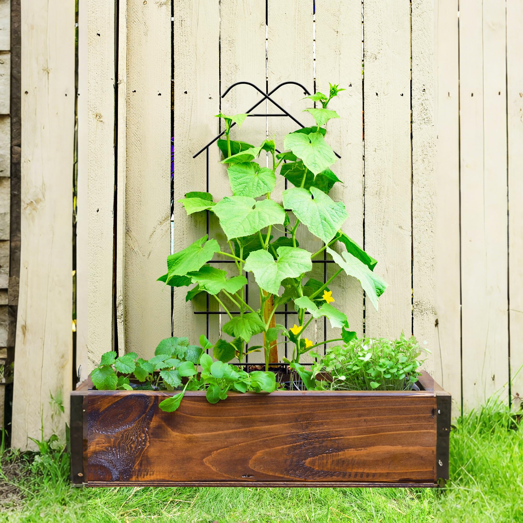 ARIFARO Rankgitter Garten-Trellis, 61cm 4er-Pack Metall-Pflanzentrellis für Kletterpflanzen für den Innen- und Außenbereich, Garten-Trellis für Topfpflanzen, Kletterreben, Zimmerpflanzen, Schwarz