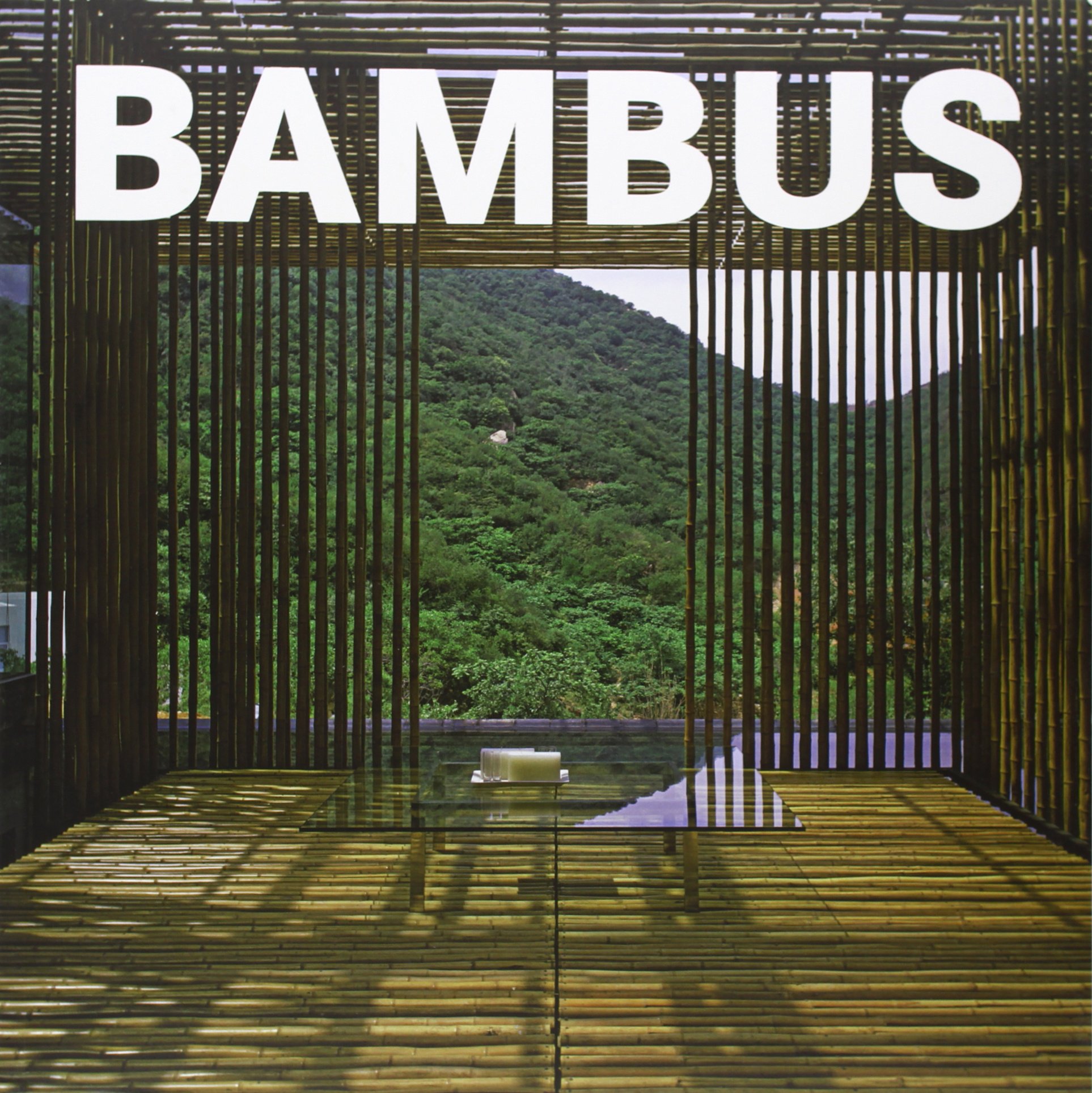 Amazon.co.jp: Bambus : 本
