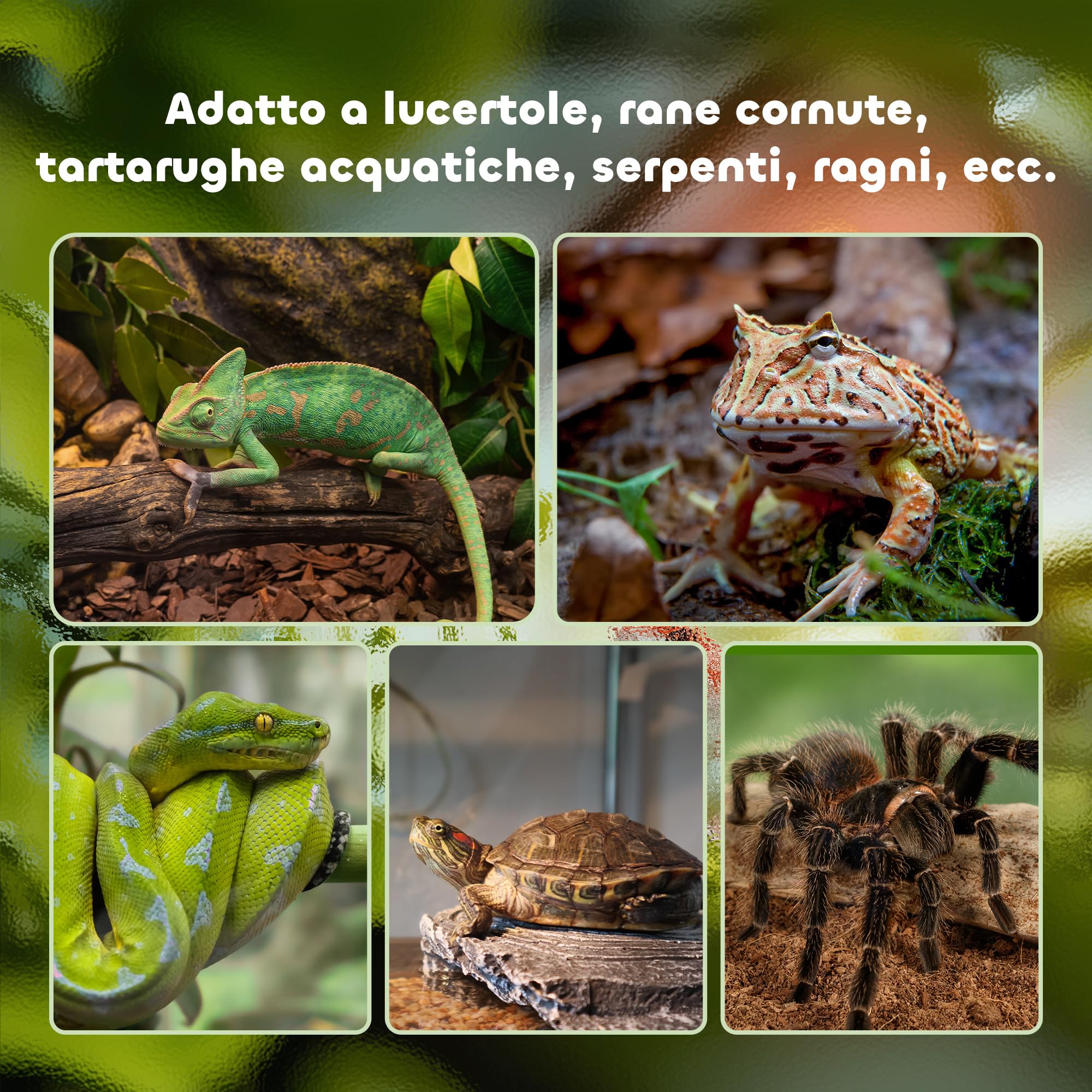 PawHut Terrario per Rettili Rialzato con Serratura e Porta per Alimentazione, Terrario per Tartarughe e Serpenti in Vetro Temperato e Rete Metallica, 50x30x35 cm, Nero