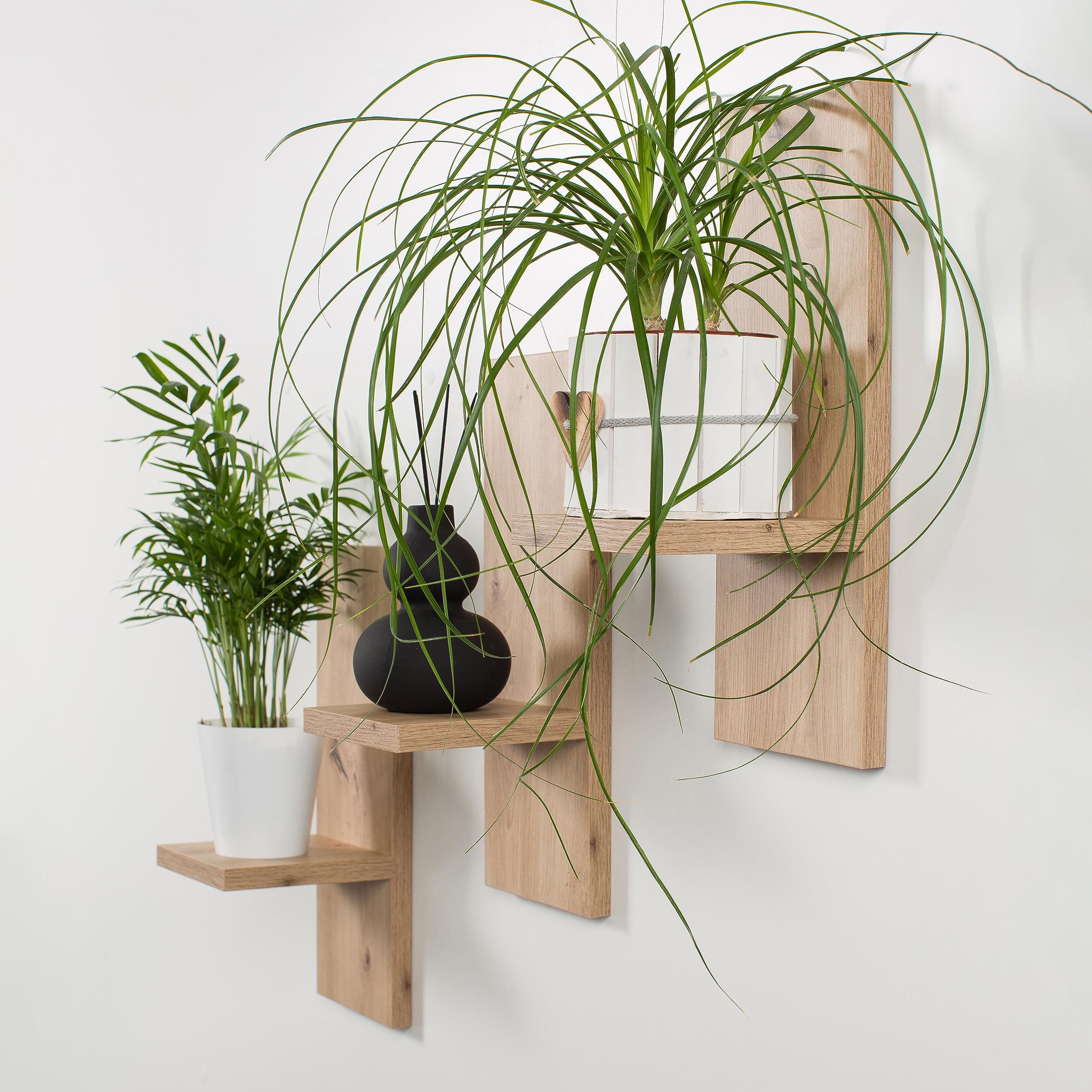 Lot De 3 Étagères Murales Mex-System Bois Noir Pour Plantes Et Décoration