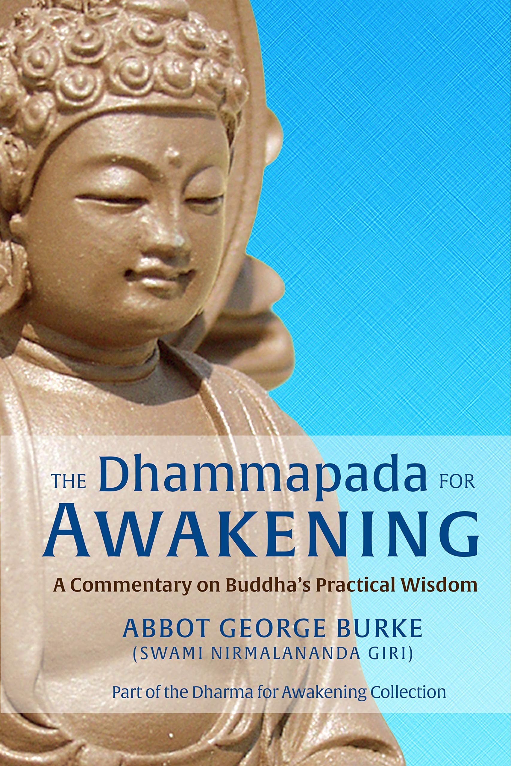 The Dhammapada for Awakening: A Commentary on Buddha's Practical Wisdom (Dharma for Awakening Collection)