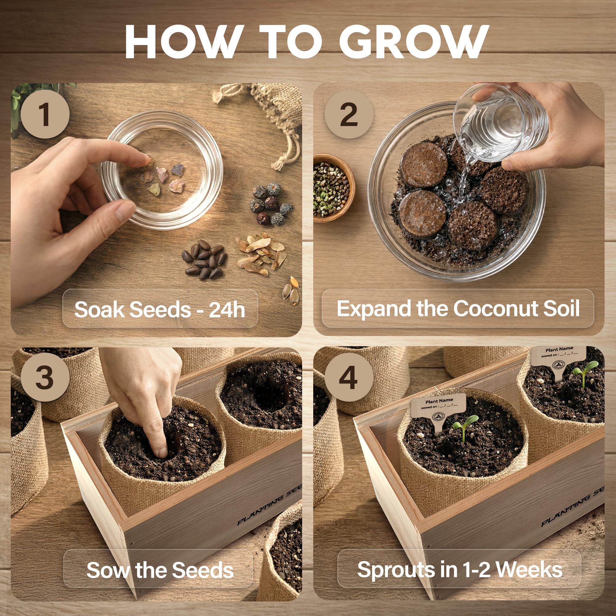 Avergo - Kit de árbol bonsái – 5 árboles de bonzai japoneses únicos | Kit completo de inicio para el cultivo de plantas de bonsái con herramientas y macetas, regalos de jardinería para mujeres y