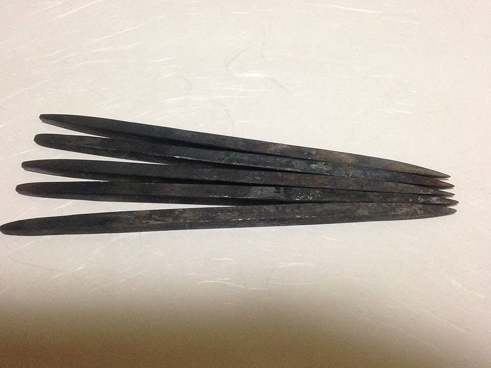 5本セット】 大東流合気柔術武田惣角が学んだ神道精