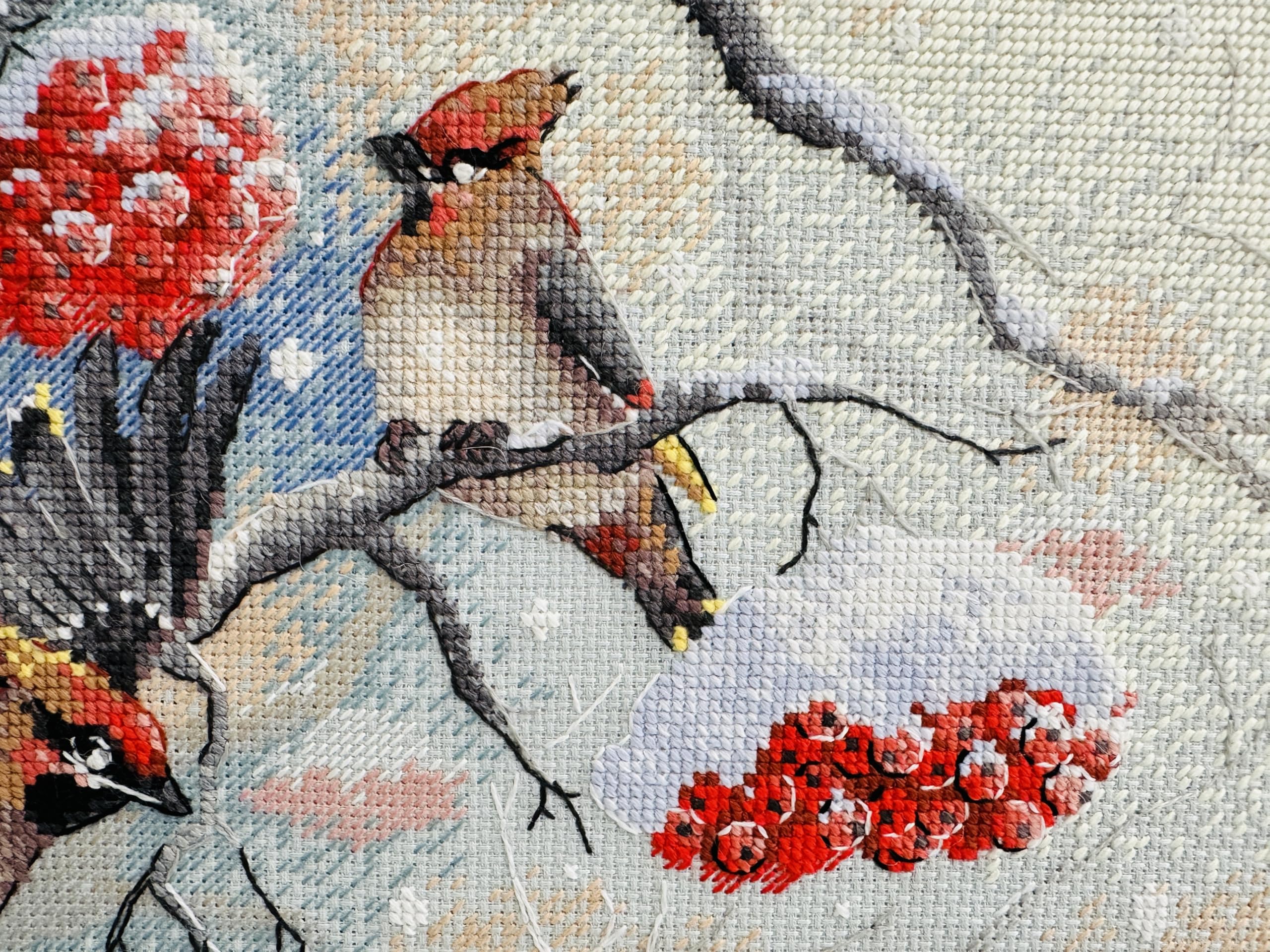RIOLIS Kit Ricamo A Punto Croce "Uccelli Sul Ramo" 35x15cm - Set Completo Con Schema, Fili E Istruzioni Per Ricamare - 4