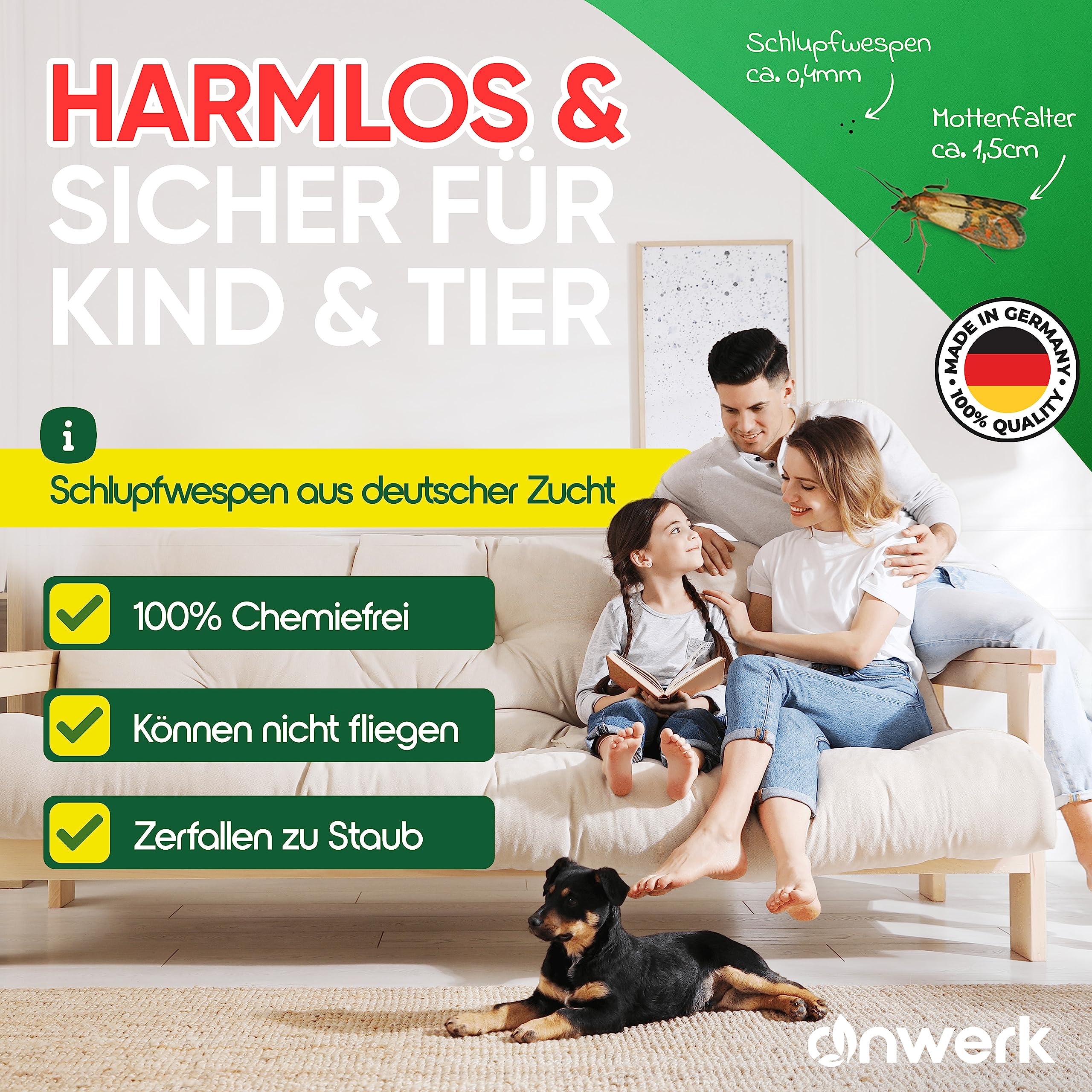anwerk® Schlupfwespen gegen Kleidermotten - 12 Karten à 1 Lieferungen - Effektiv Kleider Motten bekämpfen - Alternative zur Mottenfalle, Mottenspray, Pheromonfalle