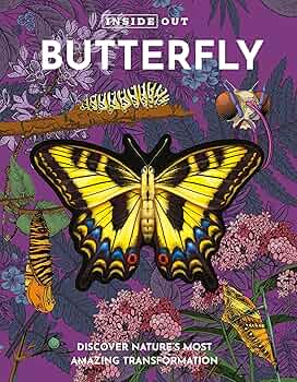 The International Butterfly Book 英語版 初版本 Amazon.co.jp: Little Butterfly: A Story of Self-Discovery in