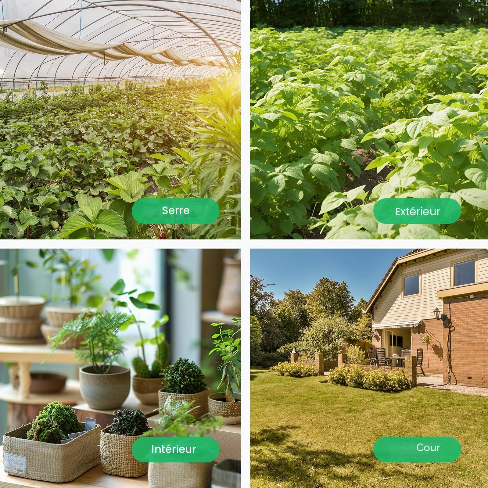 Capteur d'humidité du sol intelligent THIRDREALITY Génération 2, Pack de 3, Nécessite un hub Zigbee, Stabilité du signal améliorée, Surveillance capacitive de l'humidité, Pour la plantation de jardin