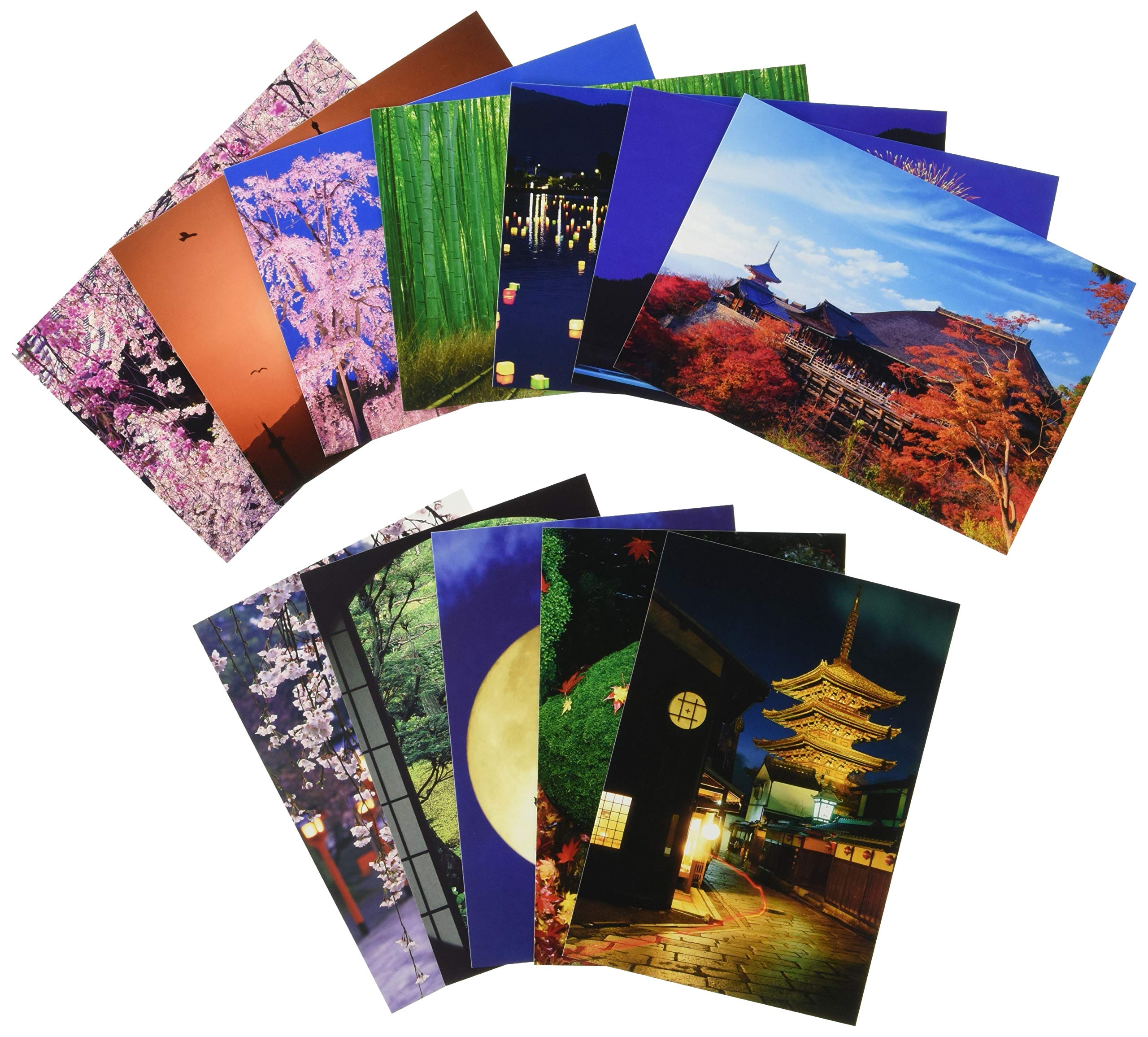 Amazon | ピンナップ 人気柄 ポストカード 12種 各1枚 計12枚