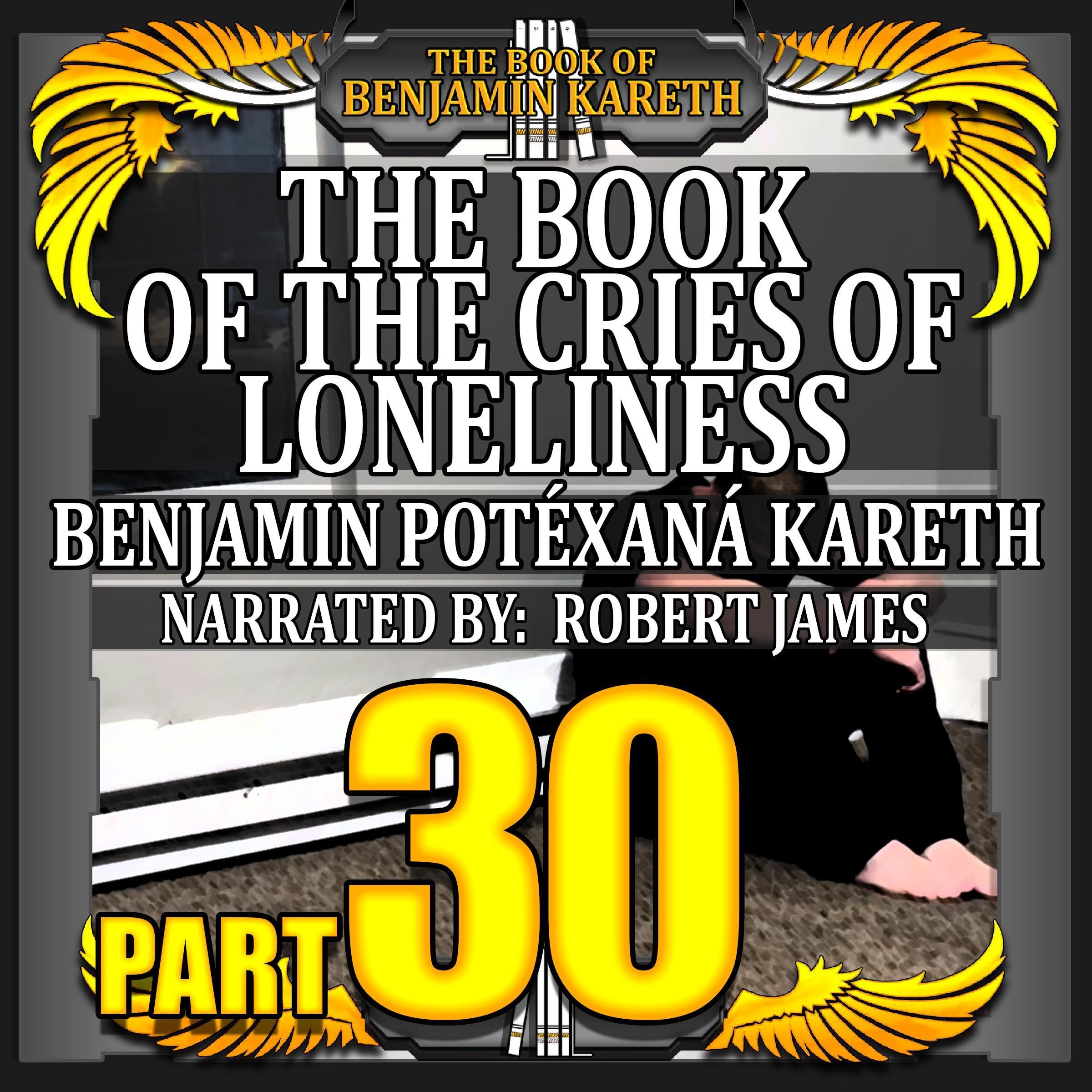 Cover art for The Book of the Cries of Loneliness