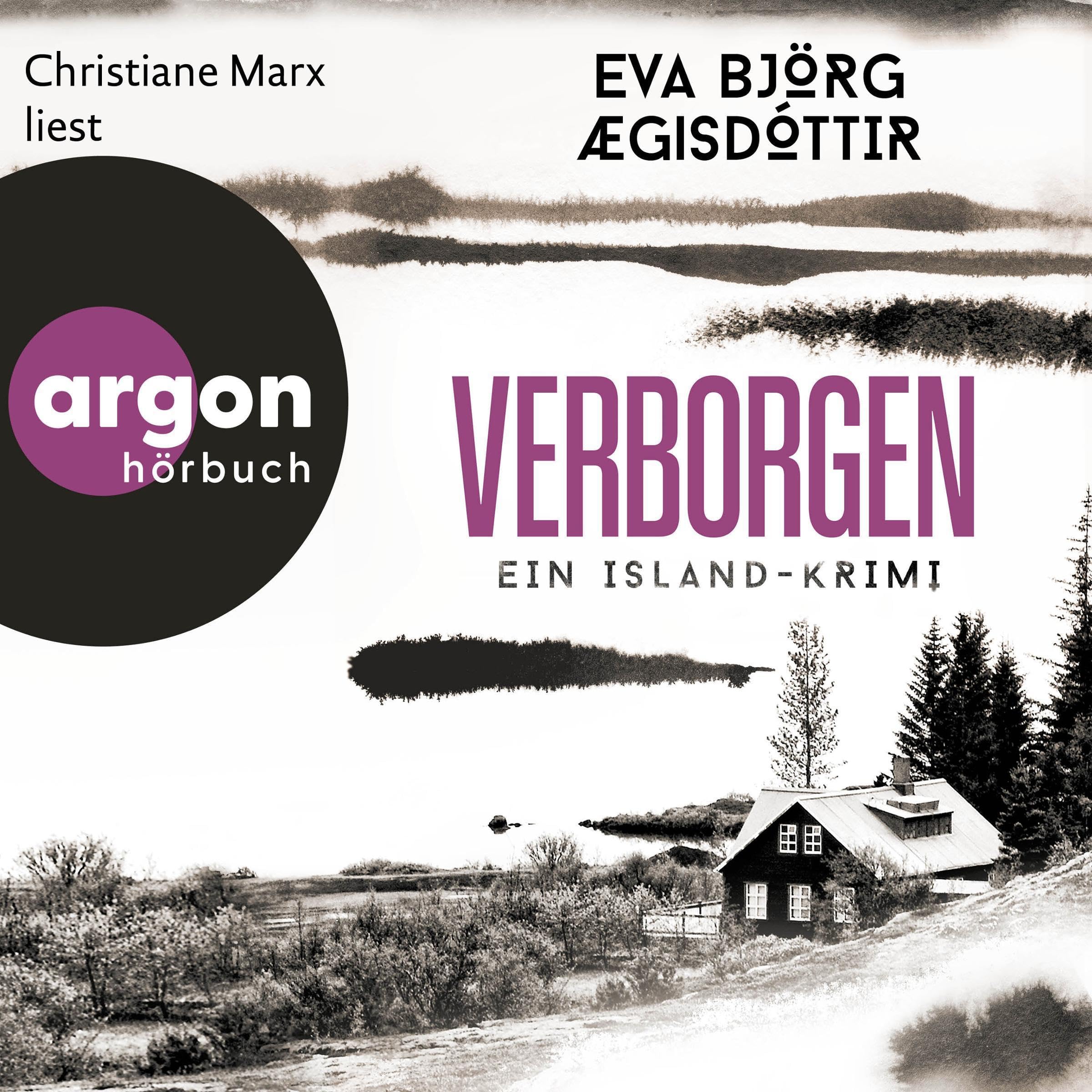 Verborgen. Ein Island-Krimi