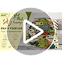 Frog Throw Blanket for Teen - 50x60 Inches Throw Size - Soft Fluffy Cozy Blankets Gift - Sage Green Cute Blanket Throws for Living Room Decorative