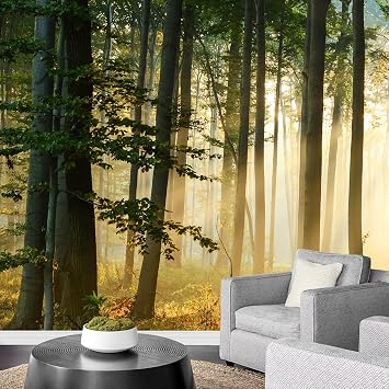 Sunshine Forest 3D Wall Sticker Mural, Trees Grass Murals Waterproof Wallpaper for Living Room Bedroom Kids Rooms Decoration-Not Stick and Peel-157.5" W x 110.3" H/400x280cm-Silk