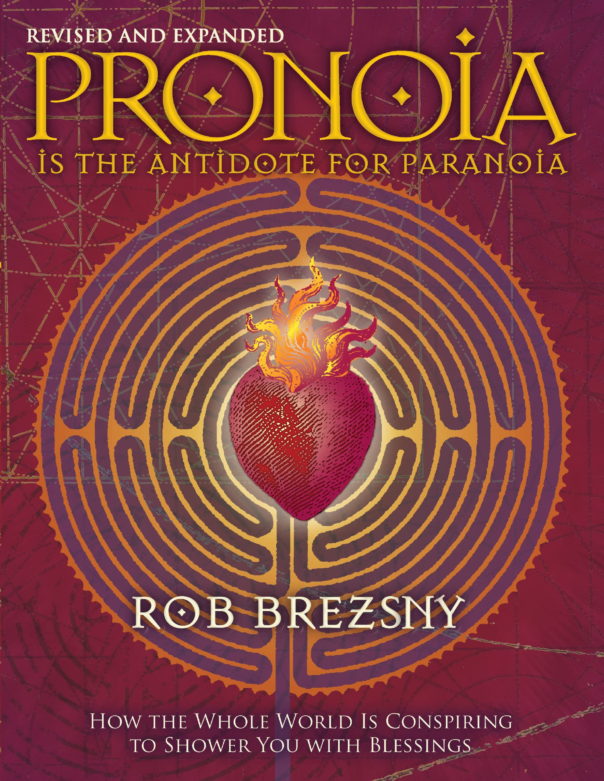 Pronoia Is the Antidote for Paranoia: How the Whole World Is Conspiring to Shower You with Blessings, Revised and Expanded