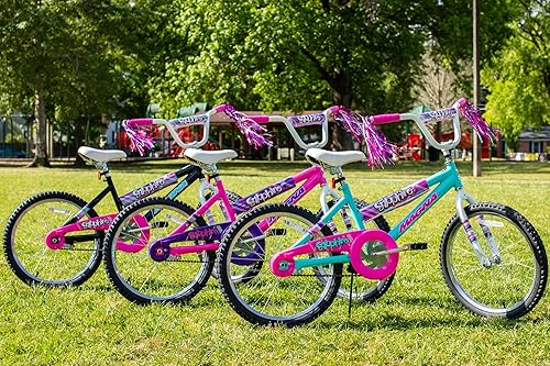 Miniatura 9 de Dynacraft Magna Sapphire Bike, 12-20-Inch Wheels, Girls Ages 3-10 Years