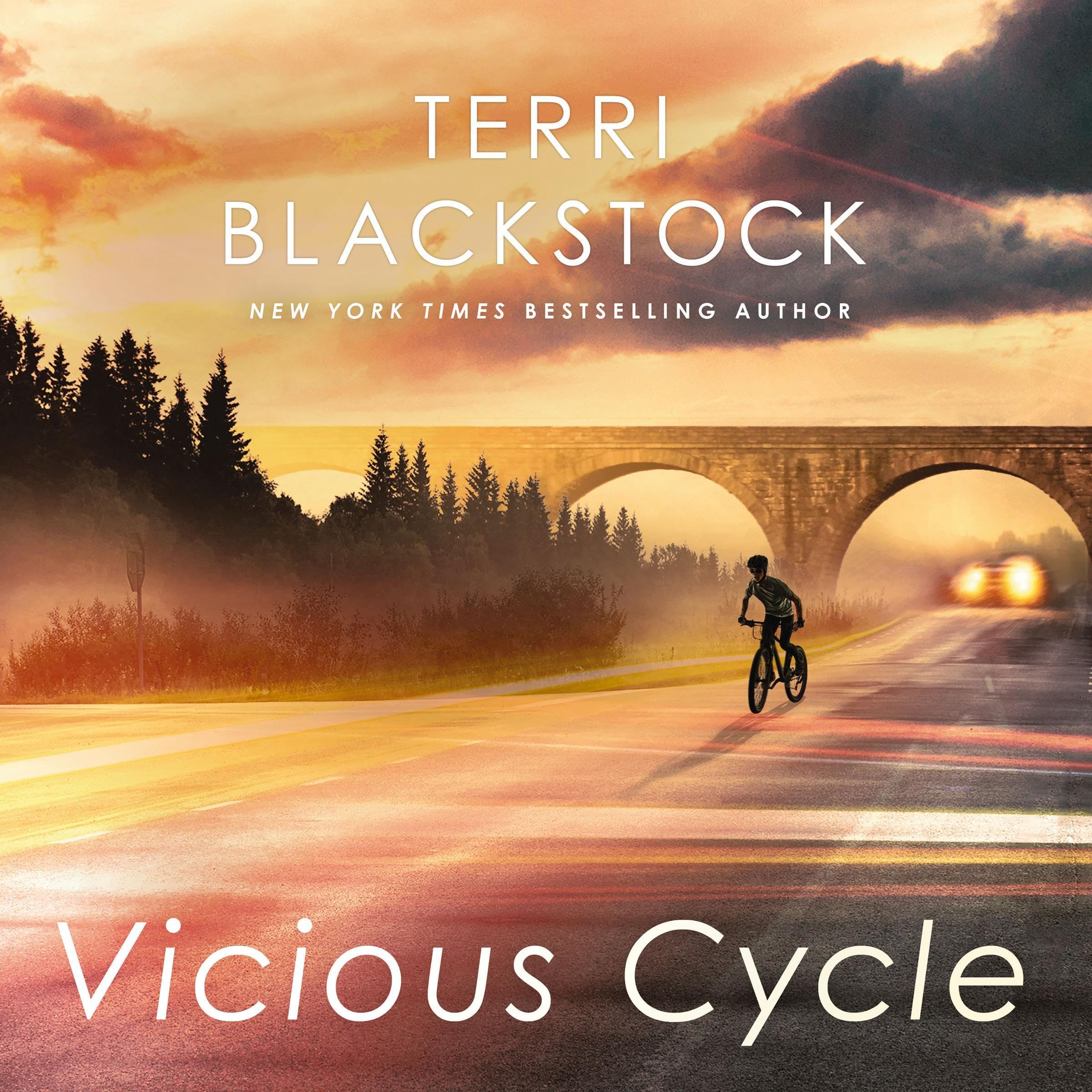 Cover art for Vicious Cycle