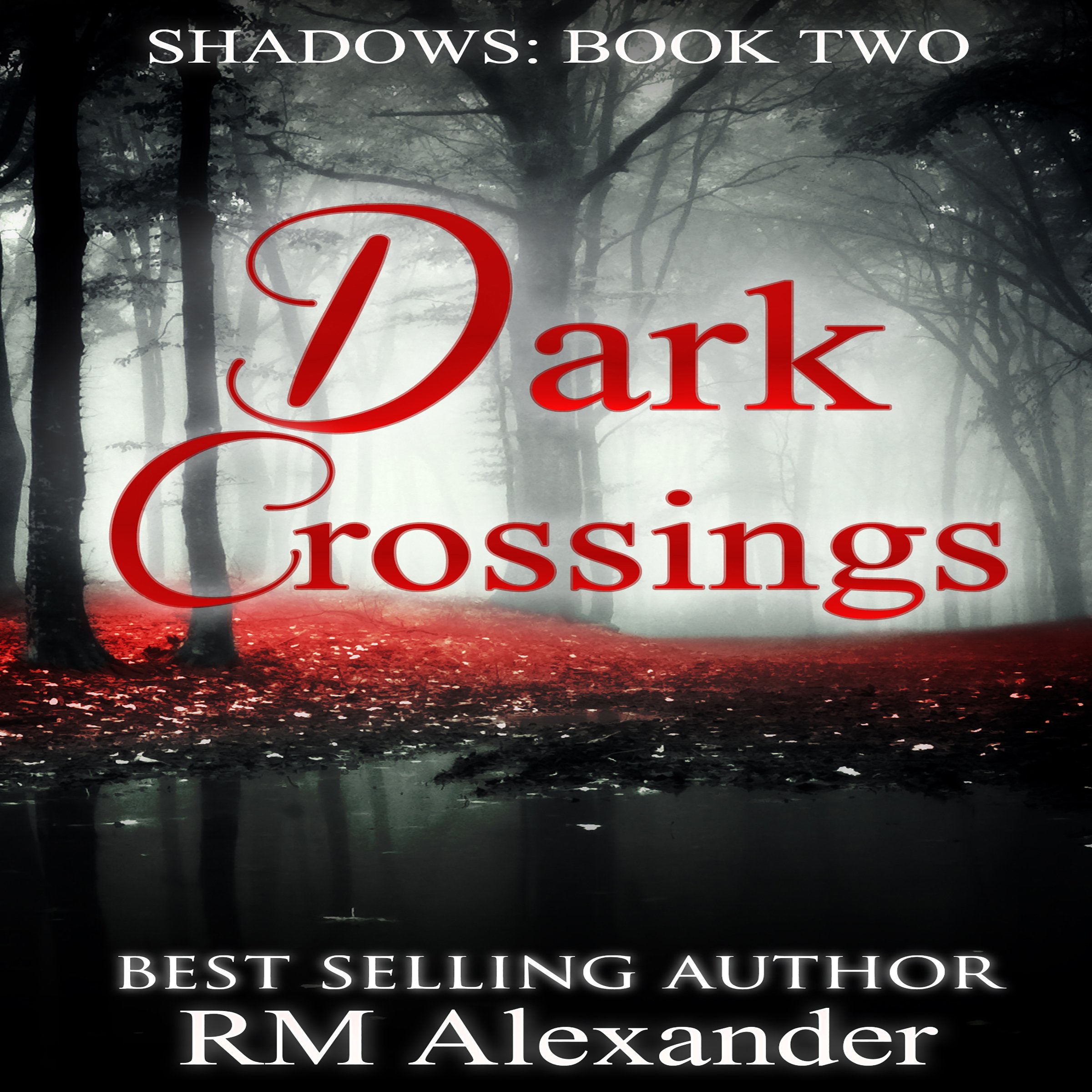 Cover art for Dark Crossings