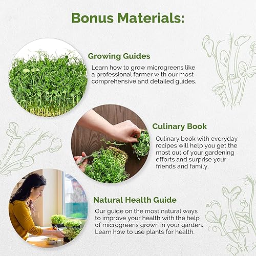 Miniatura 3 de Organo Republic Semillas de germinación de guisantes moteados y microgreens  Kit de semillas de reliquia, bolsa resellable de 8 onzas para cultivar