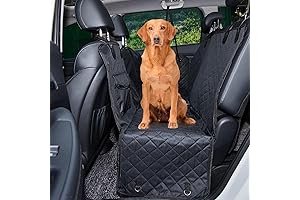 Anyoupin Dog Car Seat Cover for Back Seat - Your Pet's Perfect SUV Companion