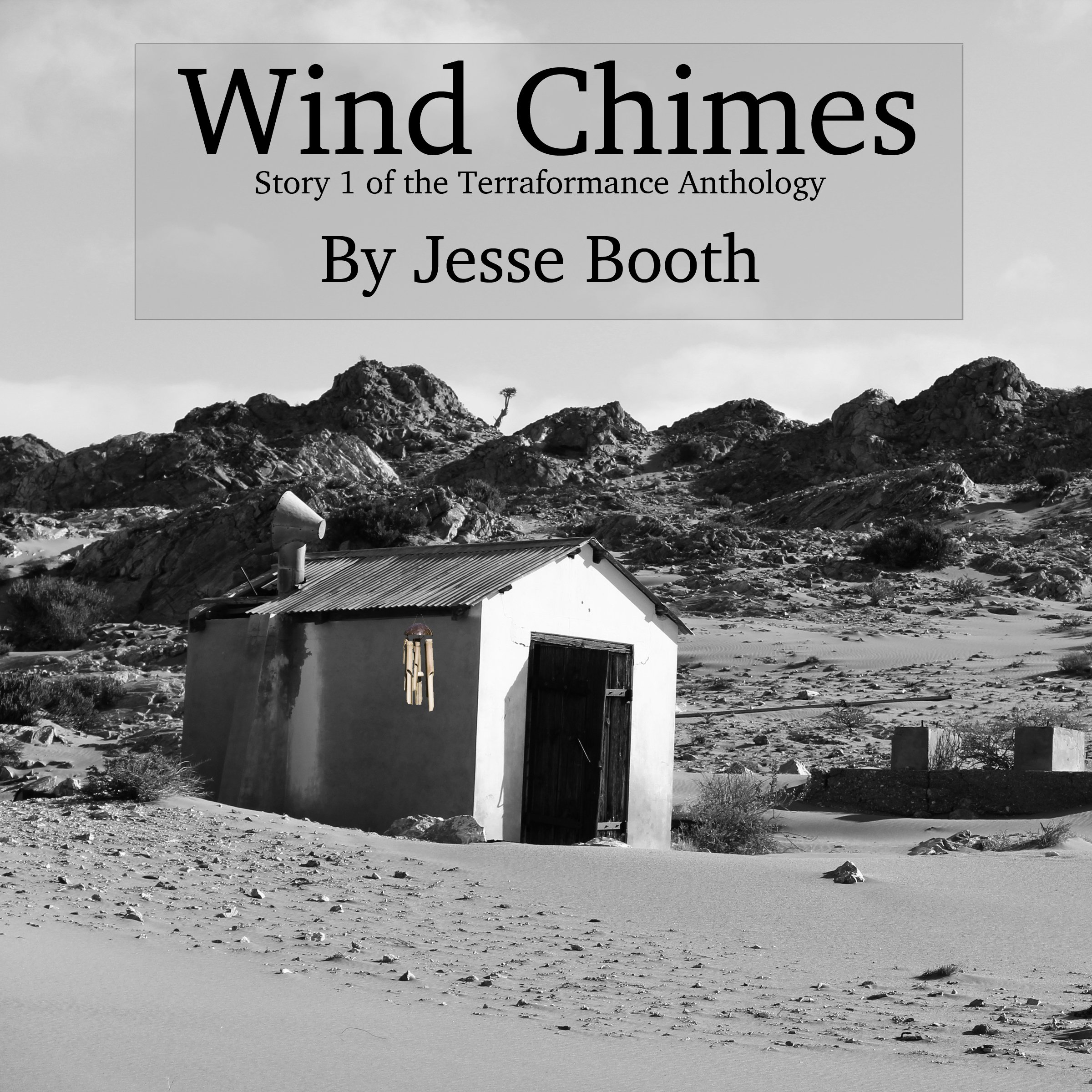 Cover art for Wind Chimes