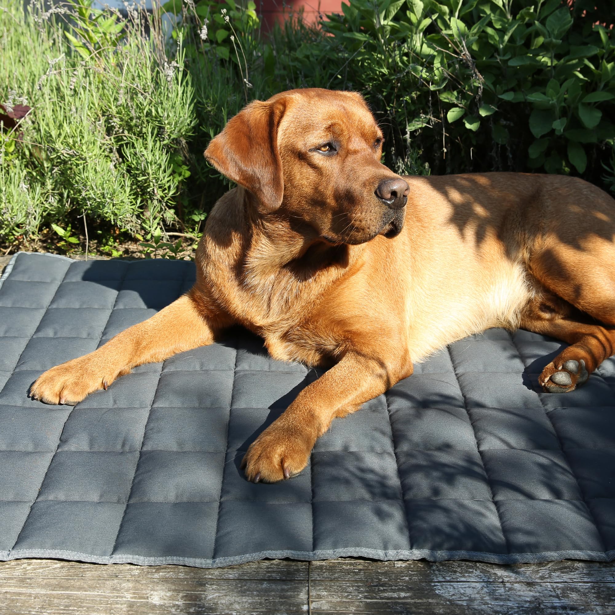 your GEAR Lana Hundematte XXL 160x100 cm – Hundedecke waschbar 60°C – Wasserdicht & Robust – Baumwolle Hundekissen – Auto Kofferraummatte Sofaschutz – XXL Haustiermatte