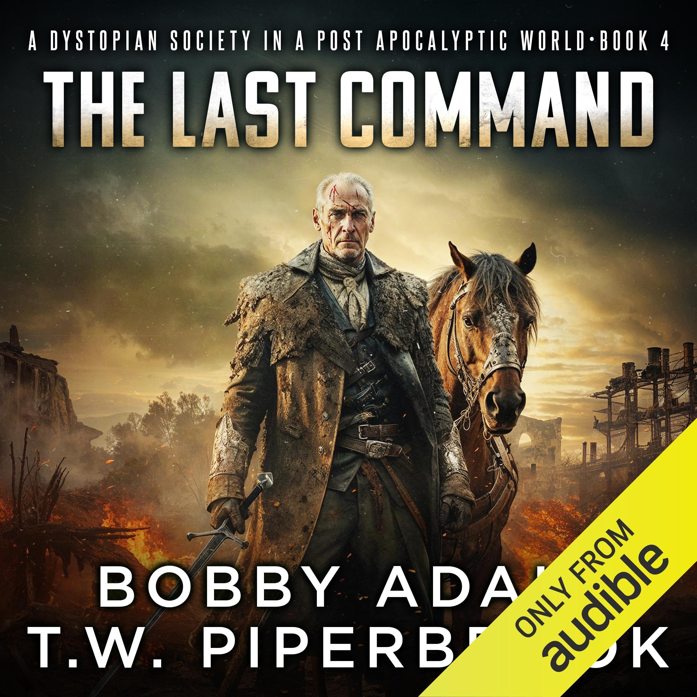 Cover art for The Last Command