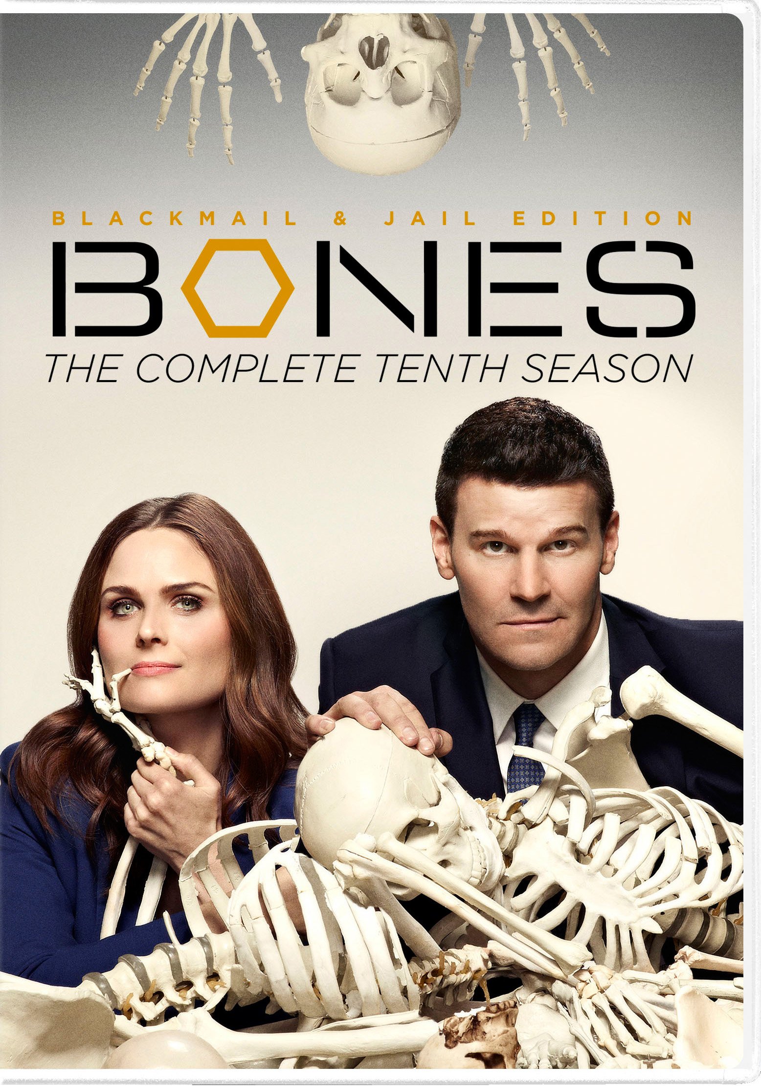 Bones: Season 10 [DVD]