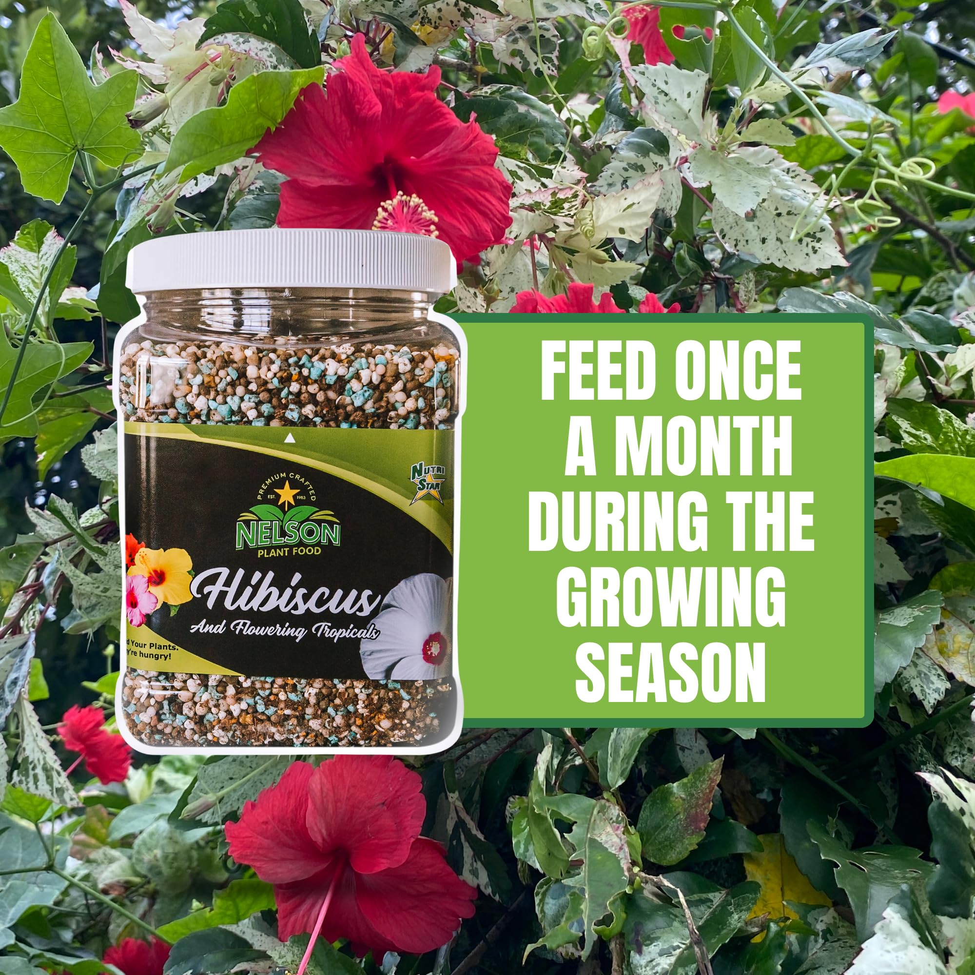 NELSON PLANT FOOD NutriStar Hibiskus und blühende Tropicals im Bodenbehälter, für drinnen und draußen, Granulat-Dünger, 0,9 kg