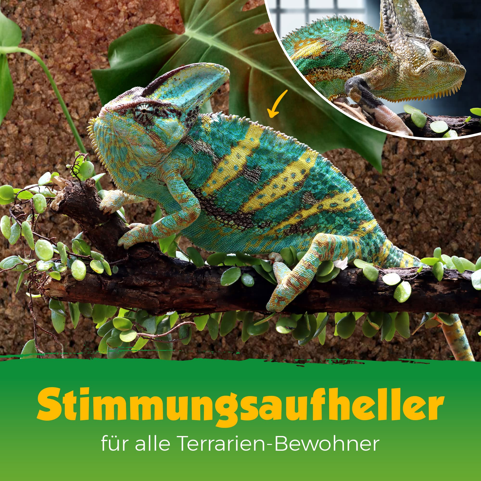 Schwarzkork-Platte | expandiertes Korkgranulat | Naturkork | Backkork | 90x60 cm | 2 cm dick | gereinigt und desinfiziert Rückwand für Terrarium & Vivarium