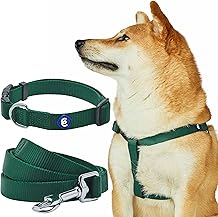Blueberry Pet Essentials Matching Dog Collar Leash Harness Set in Verdant Green, Adjustable Classic Solid Color Nylon Collar with Harness & 5 ft Leash for Medium Dogs