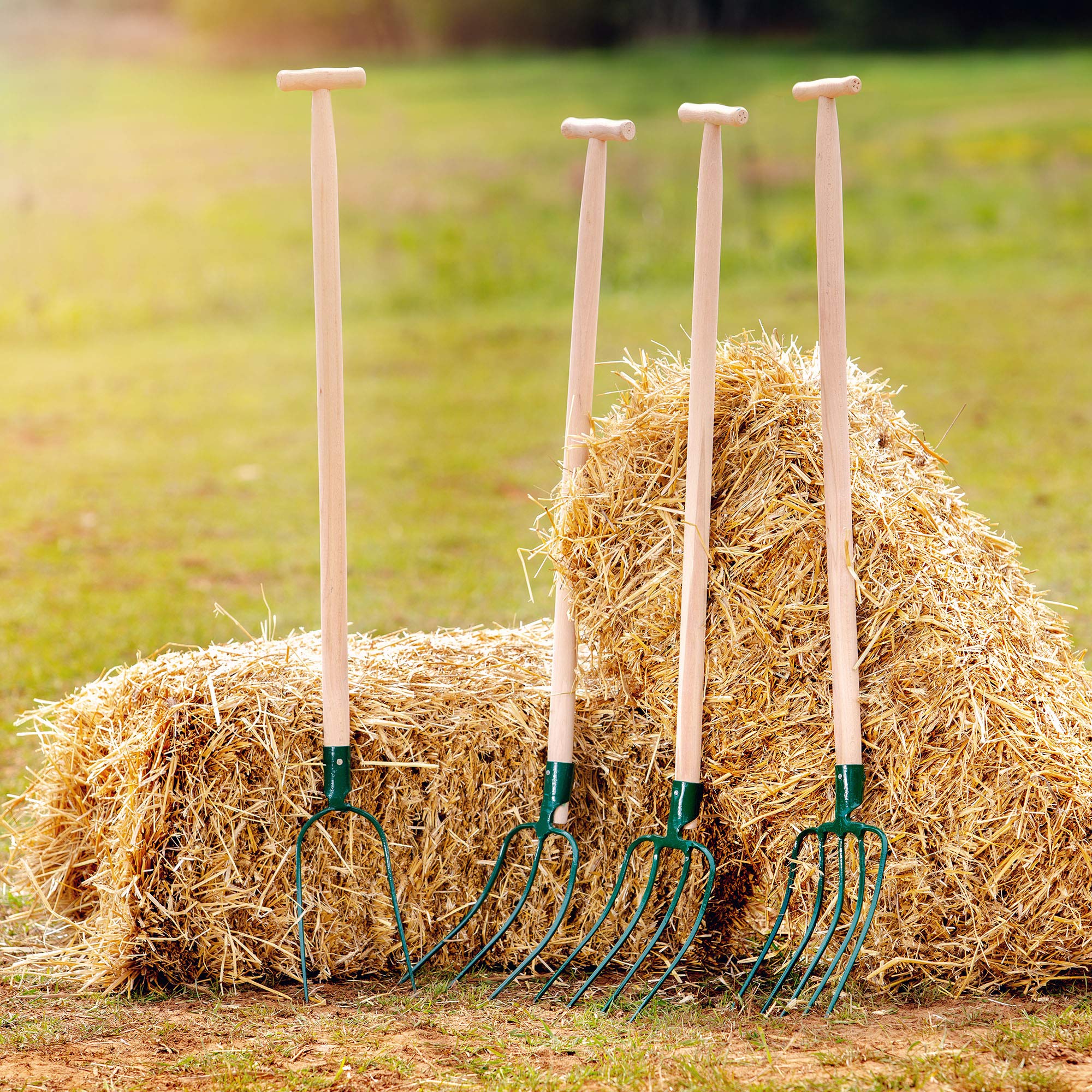 KADAX Heugabel, Forke, Spatengabel, Grabegabel, Mistgabel, Gabel für Garten, Drahtgabel mit Holzstiel, Gartengabel aus hochwertigem Stahl, Dunggabel, Gartenforke (2 Zinken, T-Griff)