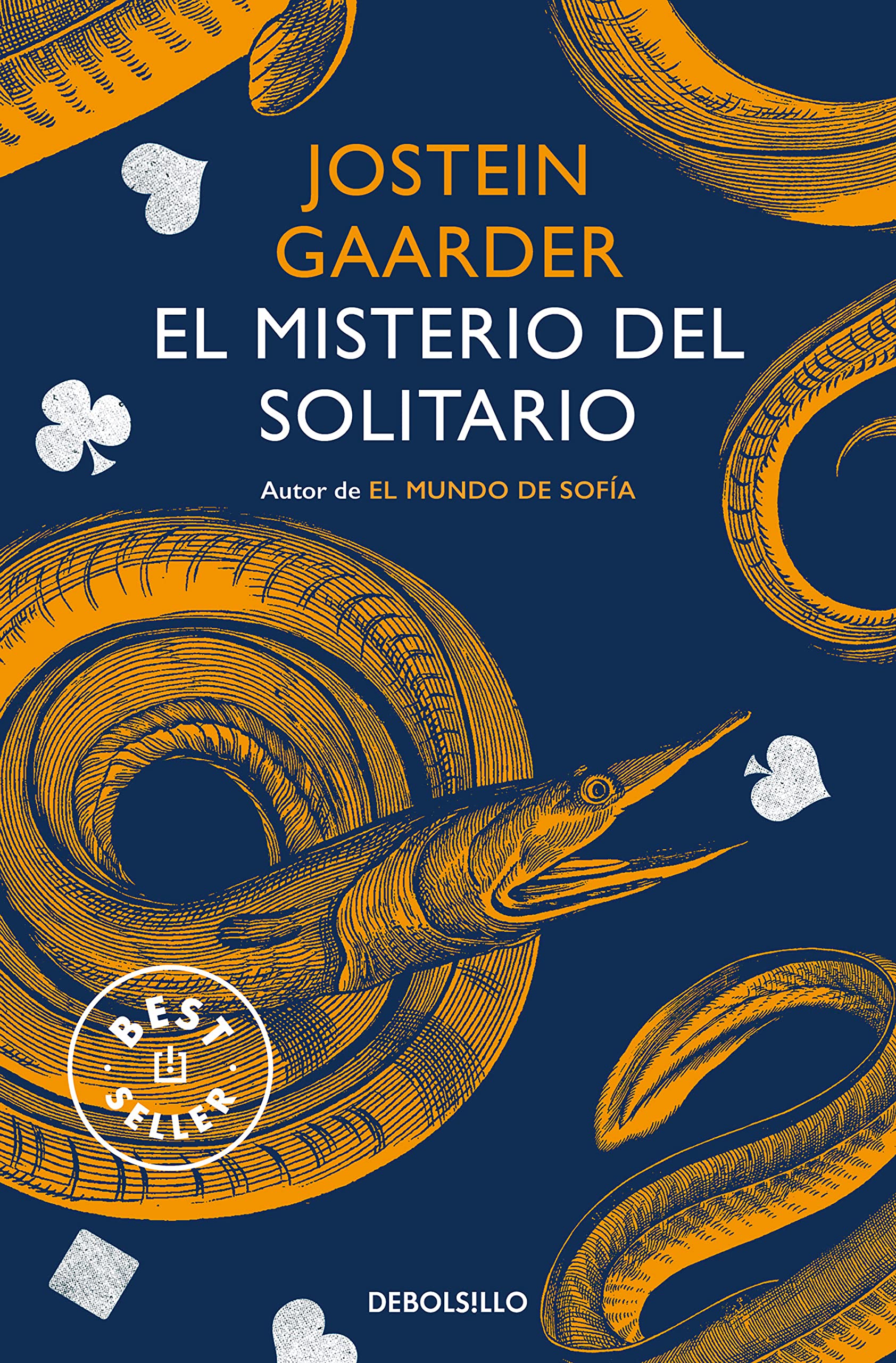 El Misterio Del Solitario