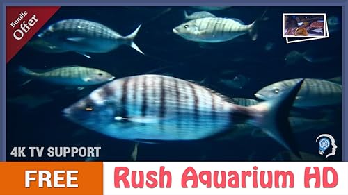 free rush aquarium HD - multidão de peixes grandes no aquário em sua TV HDR 4K, TV 8K e dispositivos