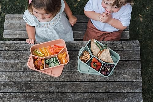Miniatura 6 de Spoondrift Caja de almuerzo de silicona a prueba de fugas respetuosa del medio ambiente, para niños y adultos, 4 compartimentos (terracota)