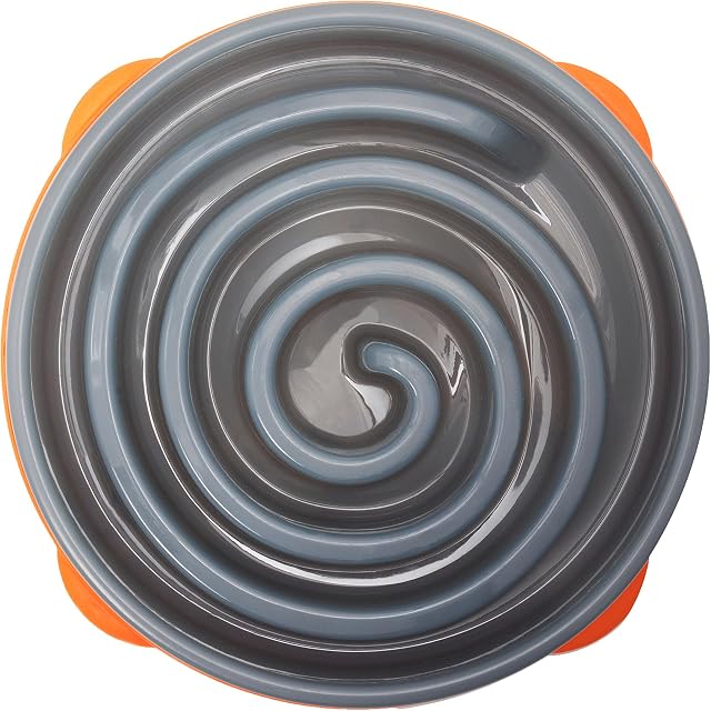 Outward Hound Interactive Slow Bowl Bloat Preventing Feeder Coral Design, Large, Grey