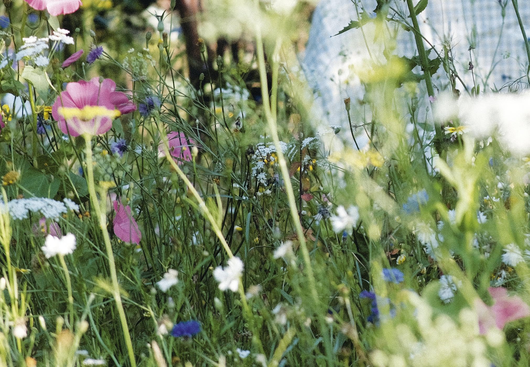Les fleurs: Une collections d'idées pour fleurir son quotidien