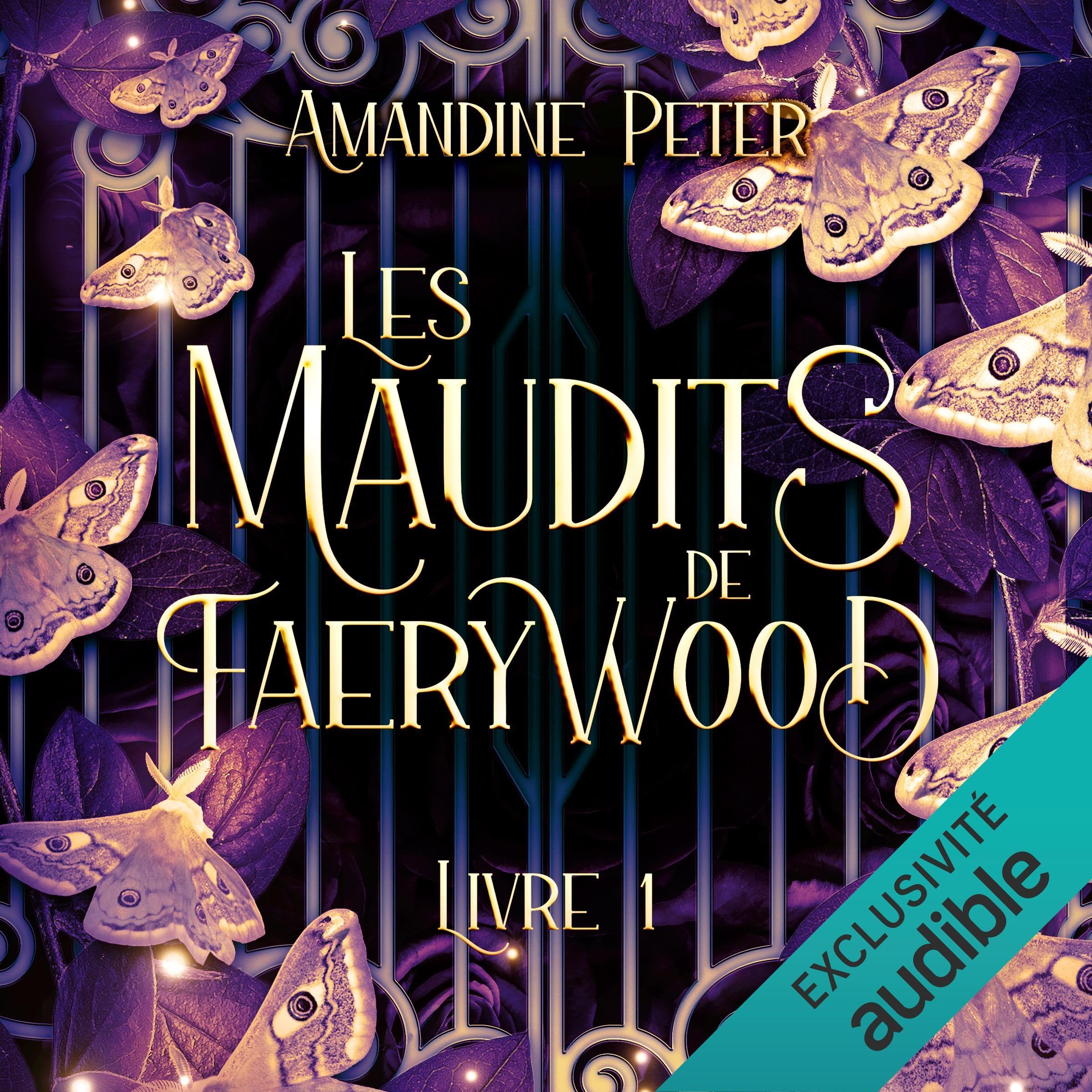 Cover art for Les Maudits de Faerywood: Les Maudits de Faerywood, Vol. 1