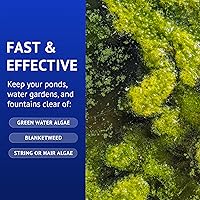Vista 3 de API POND ALGAEFIX - Botella de 1 galón para control de algas