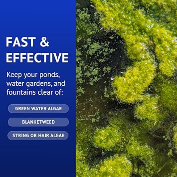 API POND ALGAEFIX Algae Control 64-Ounce Bottle (FF-169D) | Up to 19200 Gallons - Safe for Fish, Plants - Water Gardens, Fountains - Natural Active Ingredient - EPA-Registered