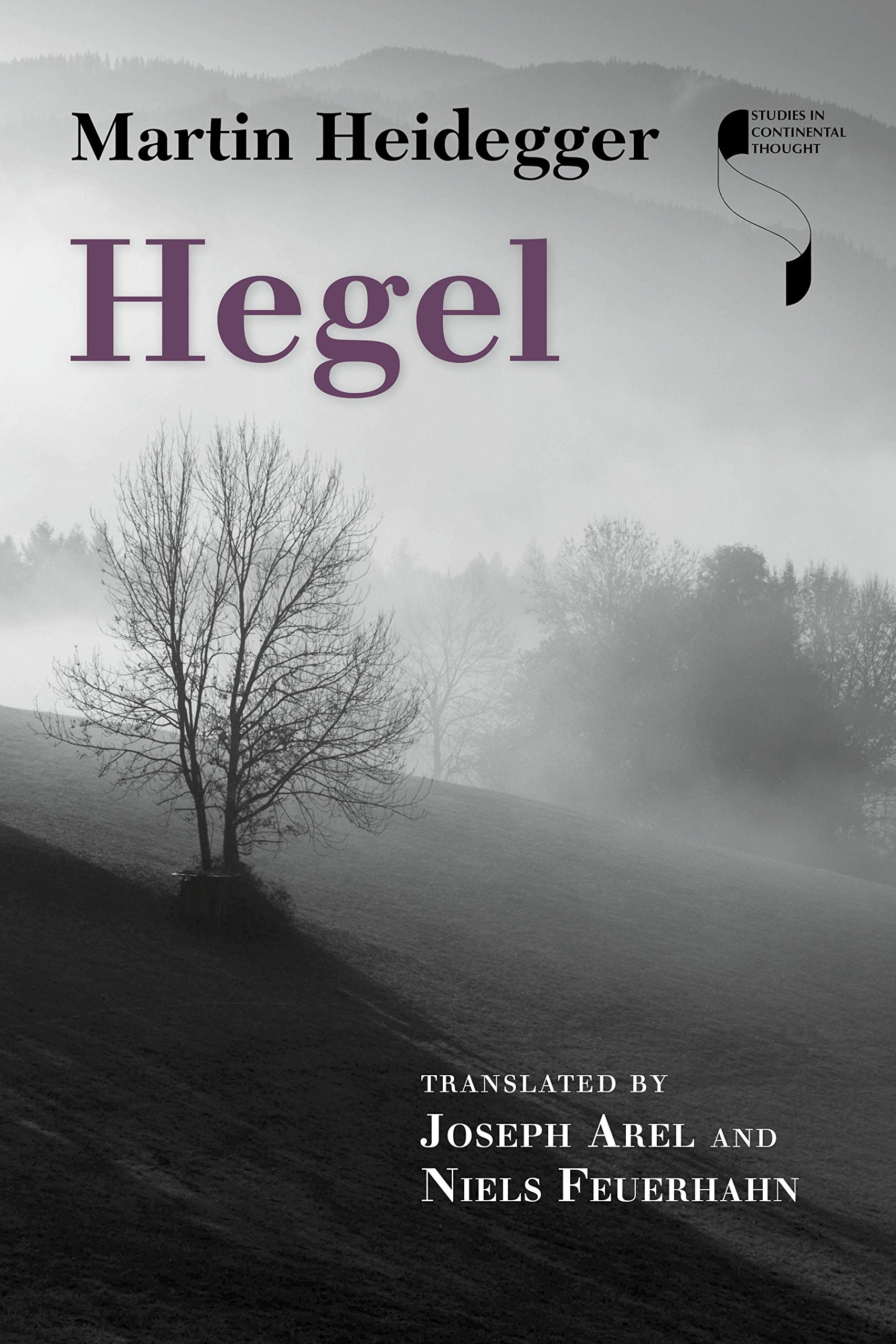 Hegel Heidegger Arel Feuerhahn Hardback MH – Indiana University Press