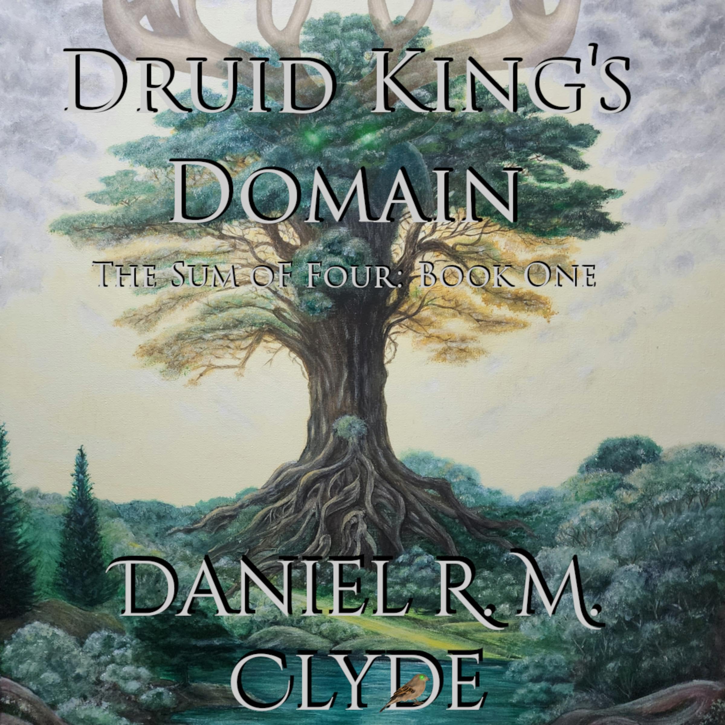 Cover art for Druid King's Domain