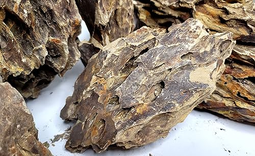 Vista 21 de Acuario Ohko Dragon Stone Rock Tamaños Mixtos