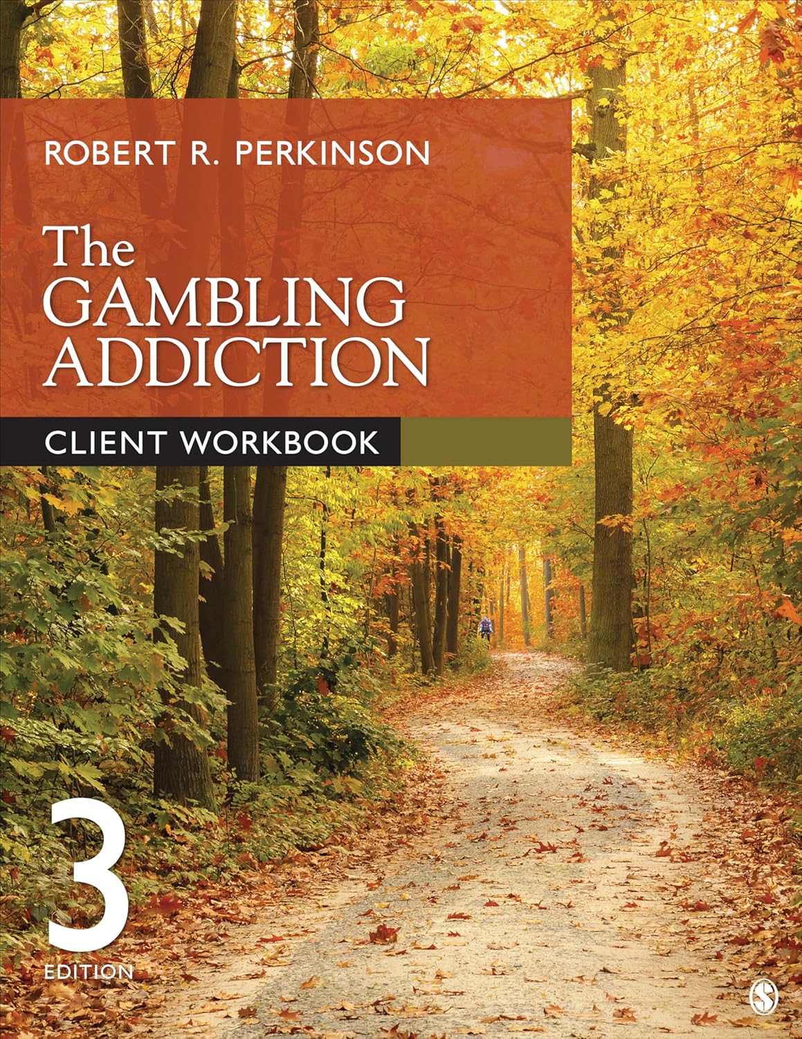 The Gambling Addiction Client Workbook      Third Edition