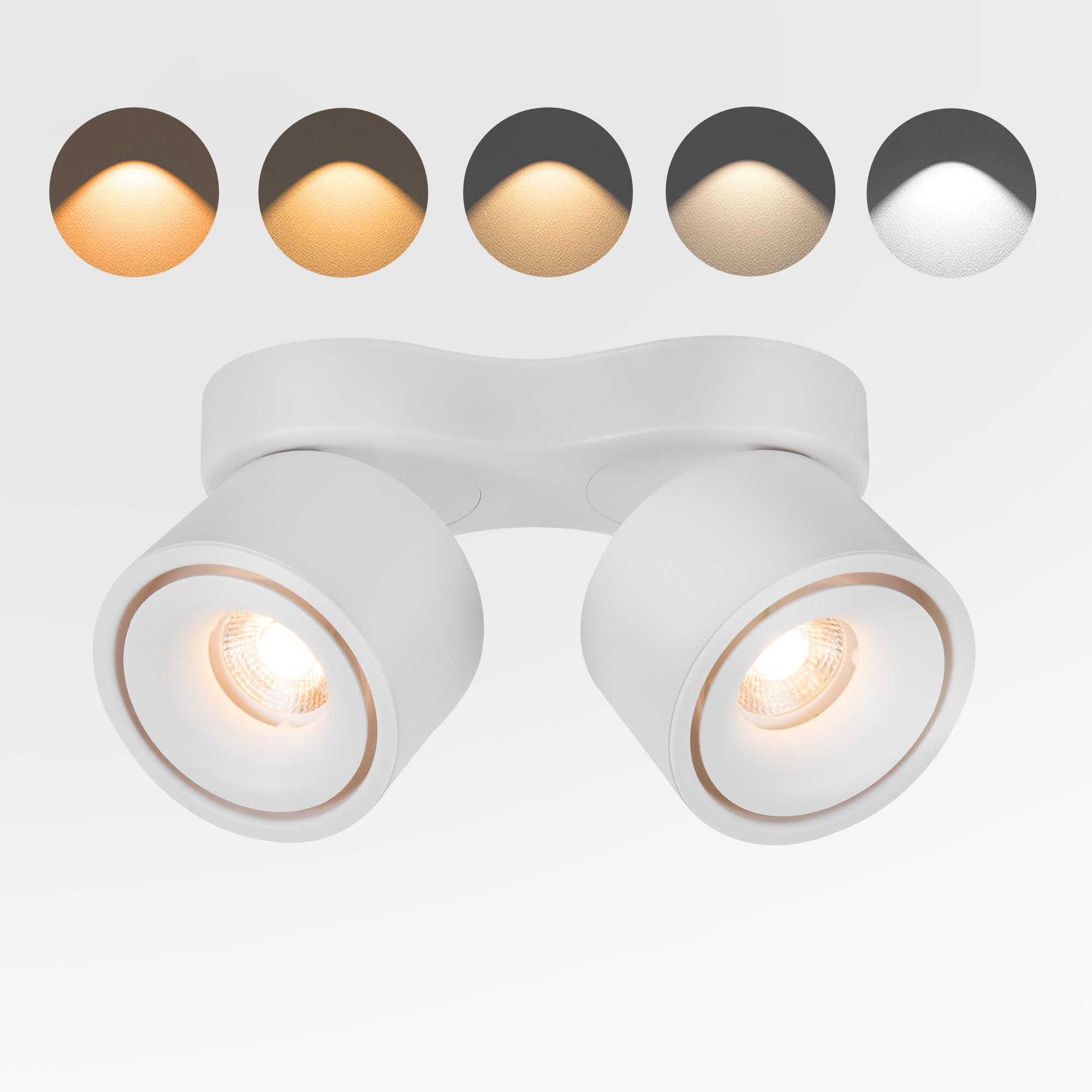 Image of LED Ceiling Spotlight Indoor Directional Lighting Ceiling Light | 5CCT\2700K /3000K /3500K /4000K /5000K,Dimmable,Adjustable,For Room Living Hallway Gallery Art Ligh