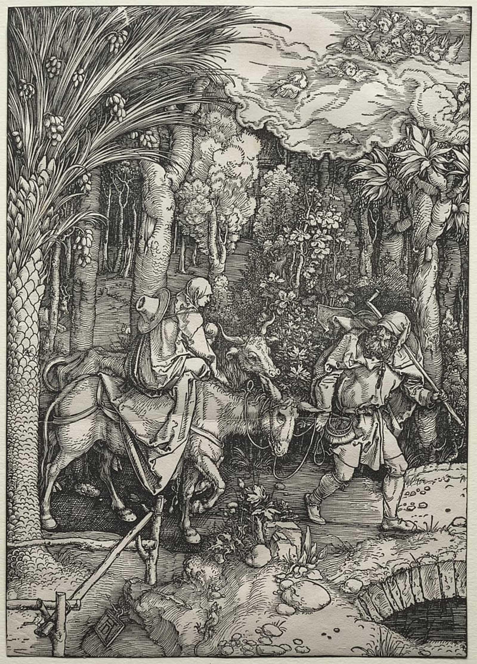 Cuadro en lienzo de Albrecht Dürer 60x90cm para decorar la oficina 5