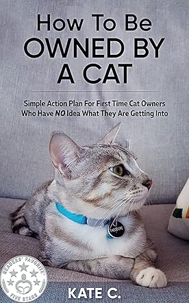 How To Be Owned By A Cat