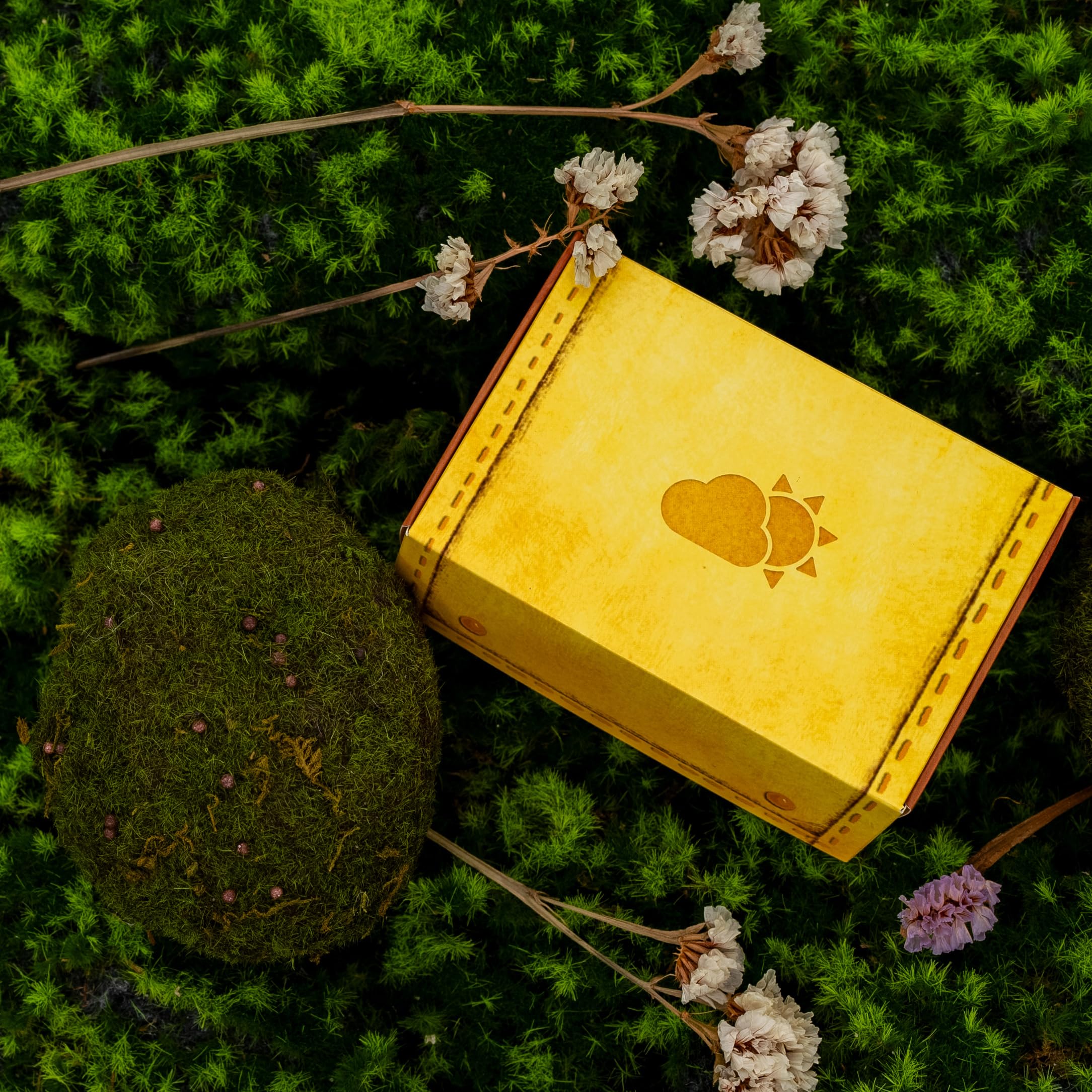 Asmodee, Meadow: Adventure Book, gra planszowa Expansion, wydanie włoskie