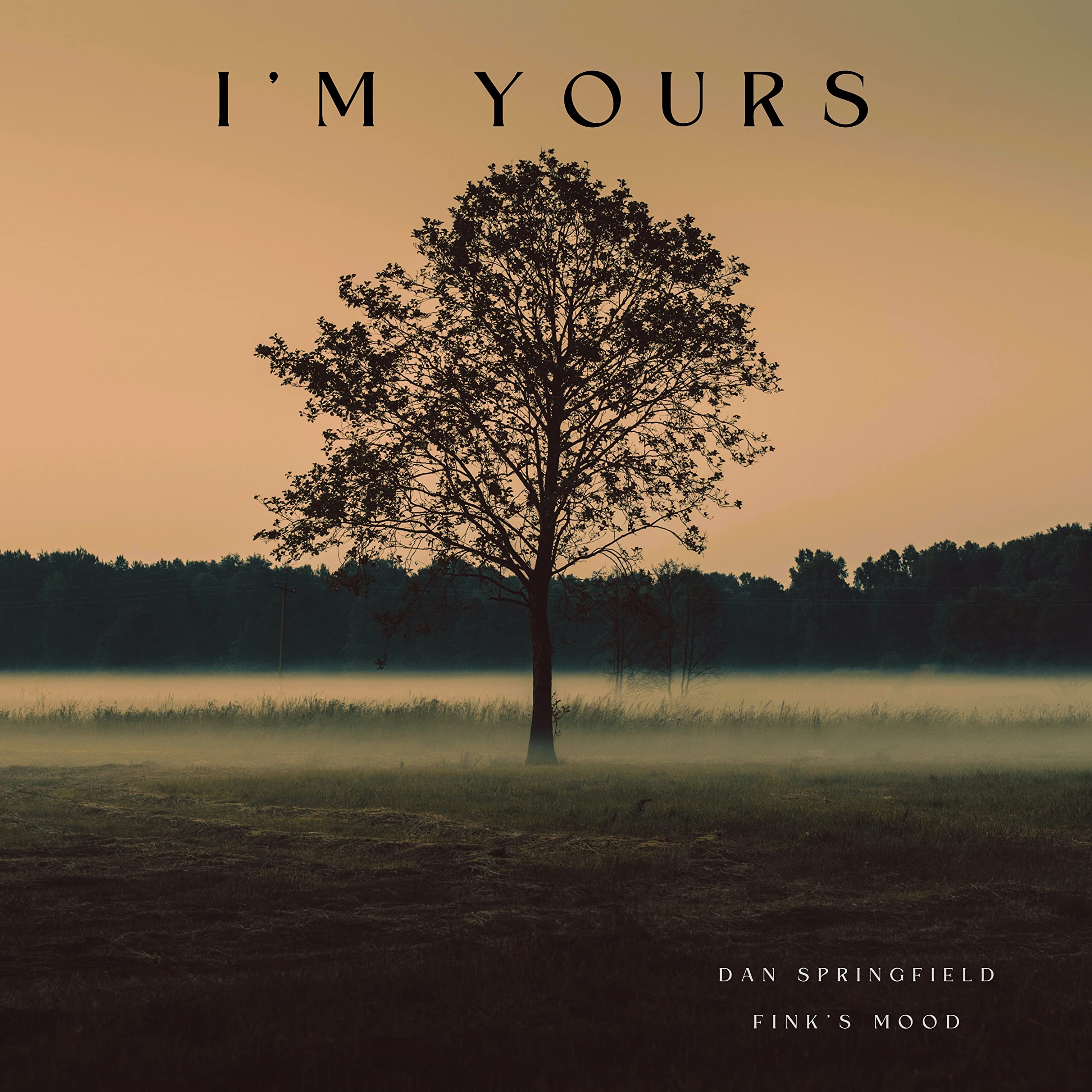 Dan Springfield;Fink's Mood