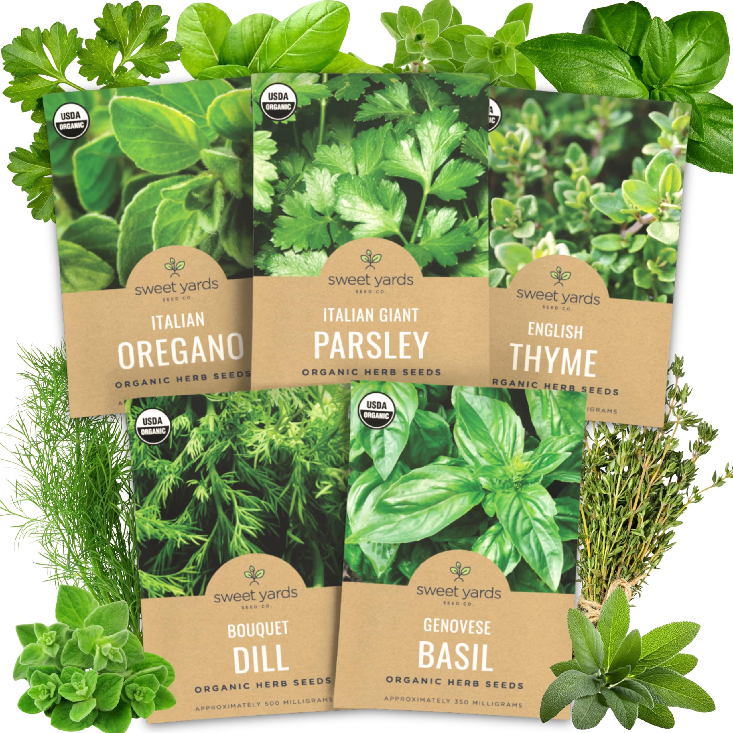 Amazon.com : Organic Herb Seeds Variety Pack - 5 Individual Packs