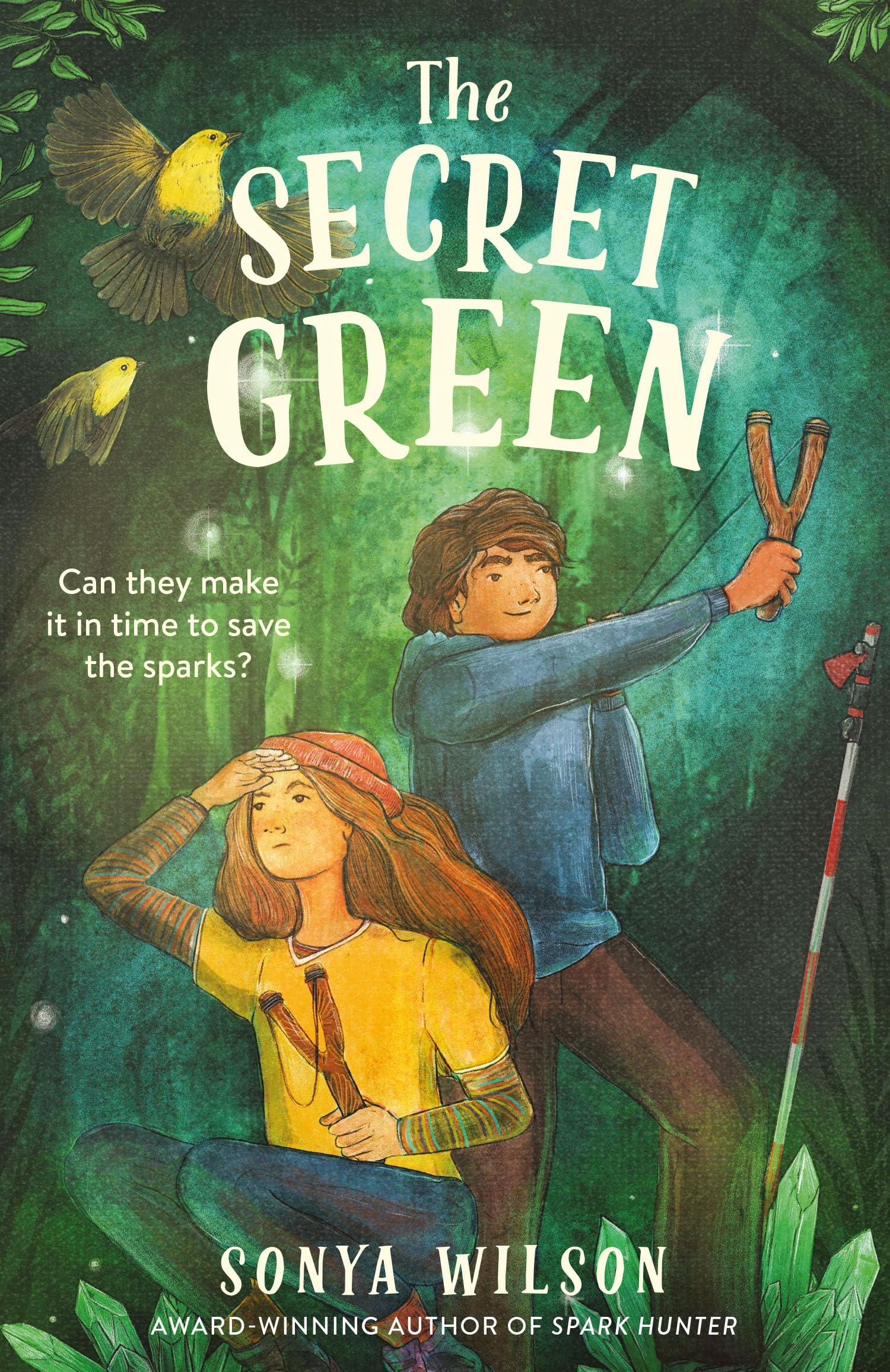 The Secret Green by Sonya Wilson (Paperback Book)