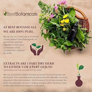 Best Botanicals Heal All Herb Cut 4 oz.